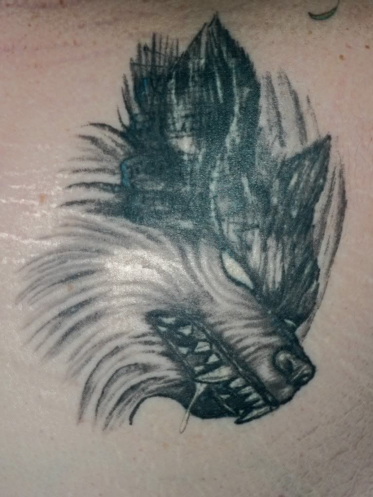 quotes with pictures quotes with pictures