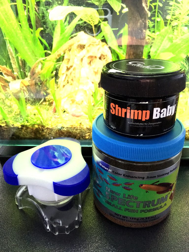 Ultimate NanoFish Food Combinations The Planted Tank Forum