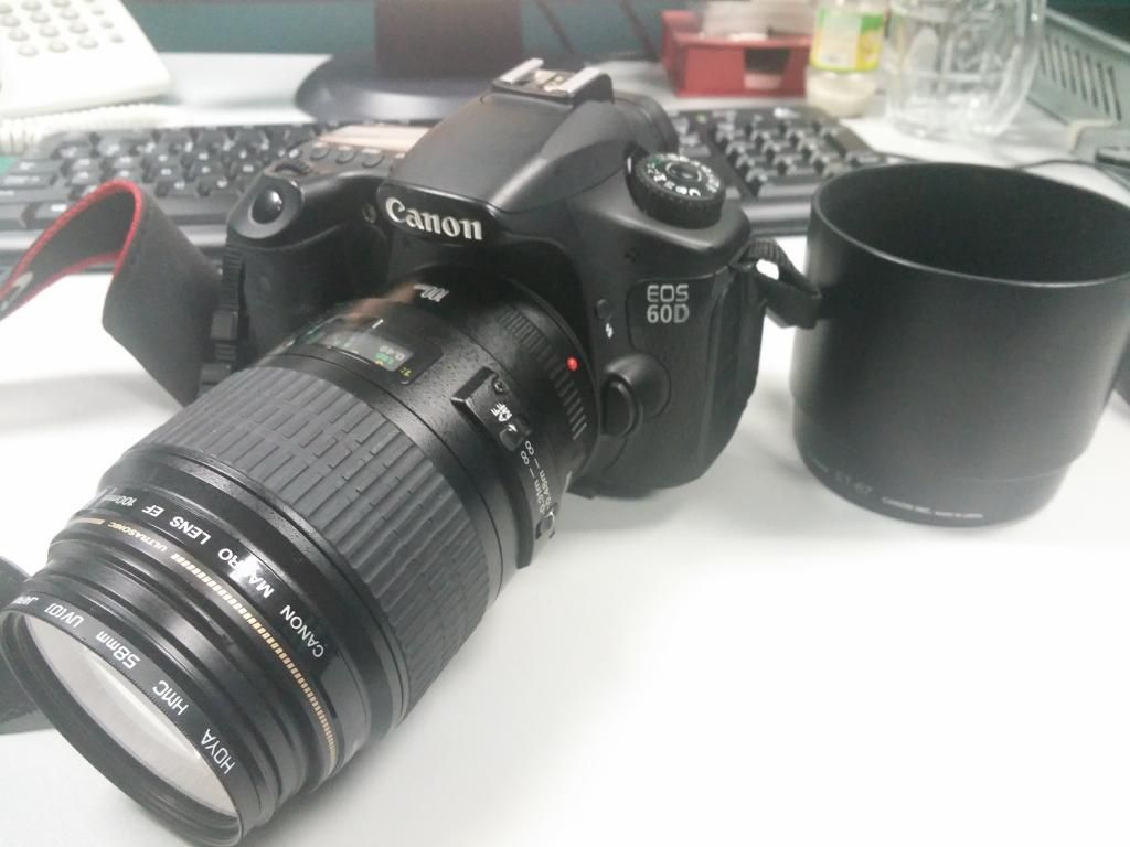 Cần bán Canon 60D + 100mm 2.8 macro + Flash Canon 320EX - Nikon D90 + kit 18-105 VR