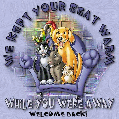  Funny Signs on Seat Warm Welcome Back 001 Graphics Code   Seat Warm Welcome Back 001