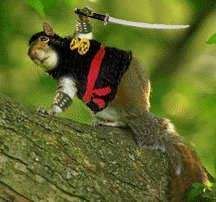 ninja_squirrel.jpg