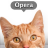Cats by Opera