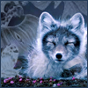 Arctic_Wolf_COPY_6i.png