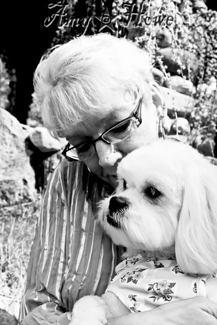 pets,amy howe,photography,family,dog