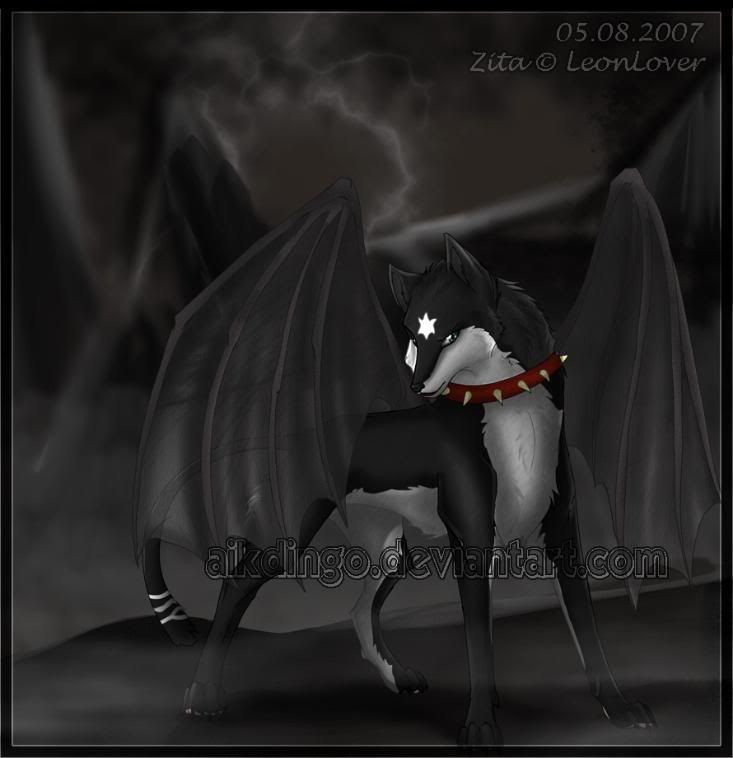 Pet- a black wolf with demon wings named night
