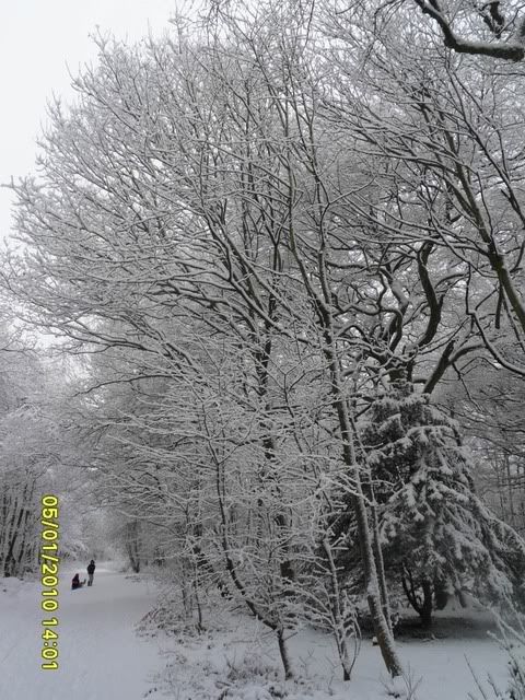 Snowday-050110Gawthorpe022.jpg
