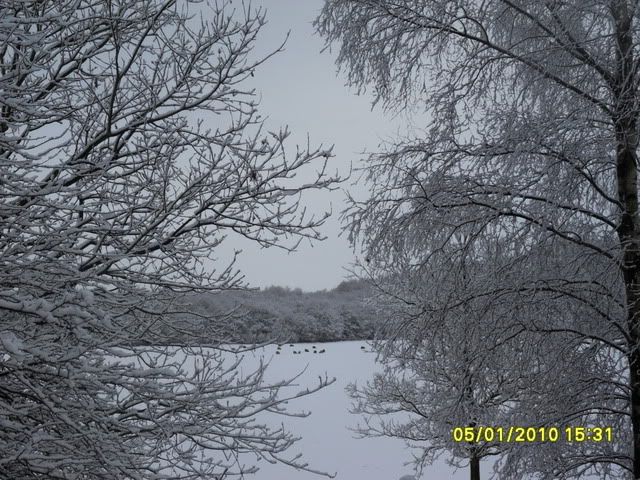 Snowday-050110Gawthorpe084.jpg