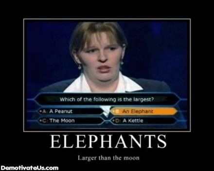 elephants moon Pictures, Images and Photos