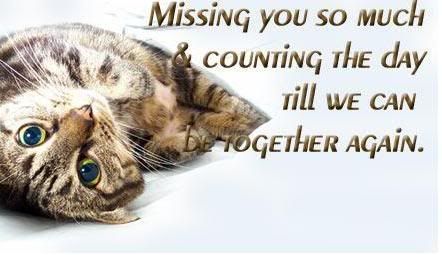 missing u Pictures, Images and Photos