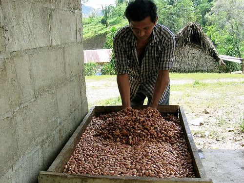 cacaobeans.jpg
