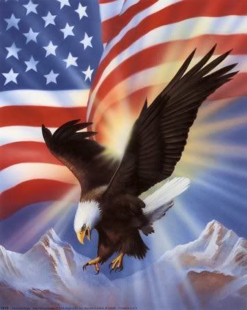 american flag eagle pictures. american flag eagle wallpaper.