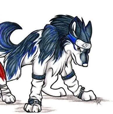 Sasuke wolf Pictures, Images and Photos
