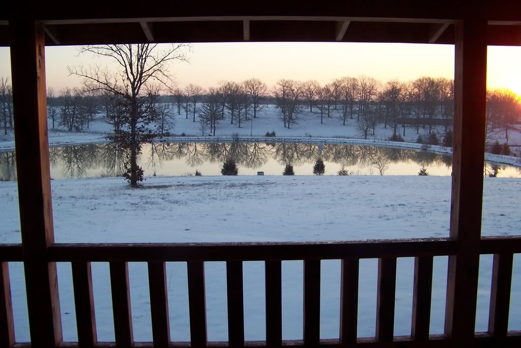 What would your perfect home design be? - Homesteading Questions