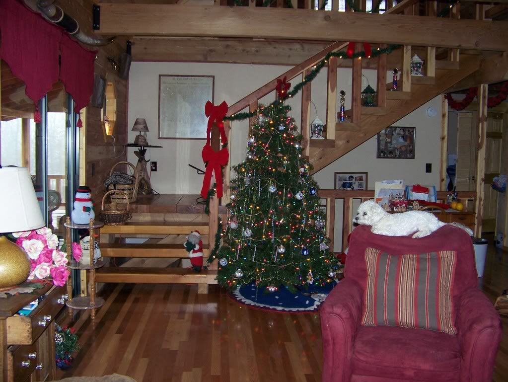 What would your perfect home design be? - Homesteading Questions