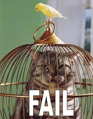 EPIC FAIL Pictures, Images and Photos