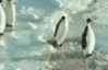 Myspace-Graphics-Fun-Animations-018.gif image by Chibi_Matthew