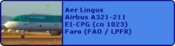 Aer Lingus Airbus A321-211 EI-CPG (cn 1023)