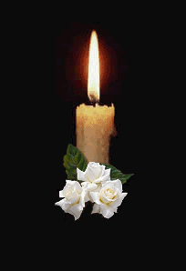 roses and candles photo: White Roses CandleRoses.gif