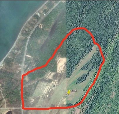 Probably getting two Highlands - Cattle