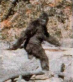 bigfoot.jpg