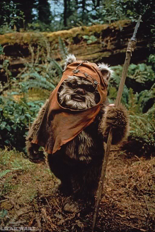 ewok1.jpg