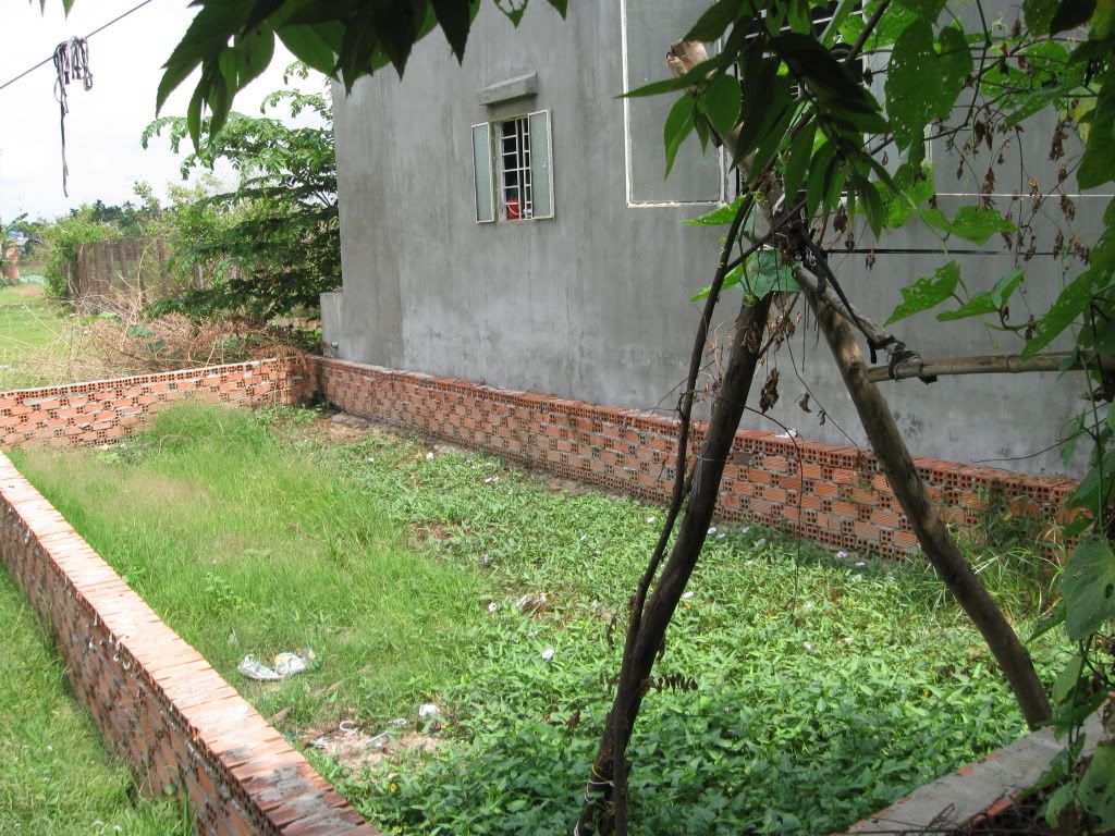 bán đất xã Xuân Thới Thượng, Hóc Môn, Tp.HCM giá rẻ - 9