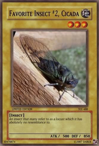 cicada.jpg