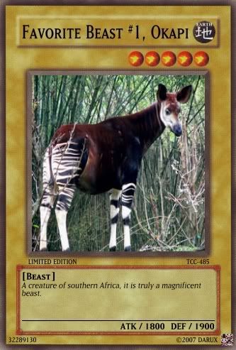 okapi.jpg