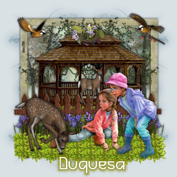 duquesa.jpg picture by sissybea