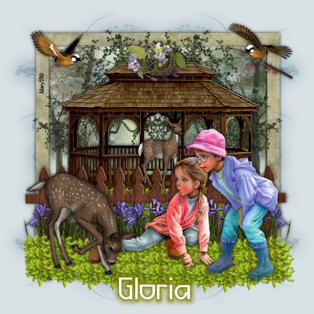 gloria-4.jpg picture by sissybea