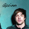 quinn.png Quinn image by boxofsharpobjects7