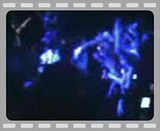VID003.mp4 video by boxofsharpobjects7