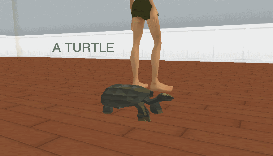 A Turtle