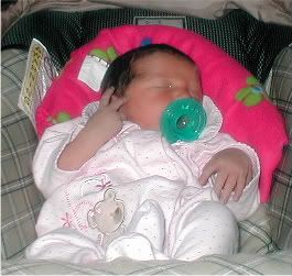 Our newest kid - Goats