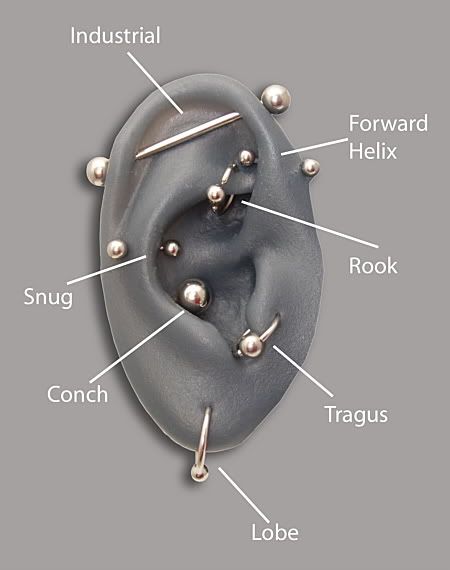 ROOK:$40. HELIX:$40. I perform other ear piercings as well, prices depend on 