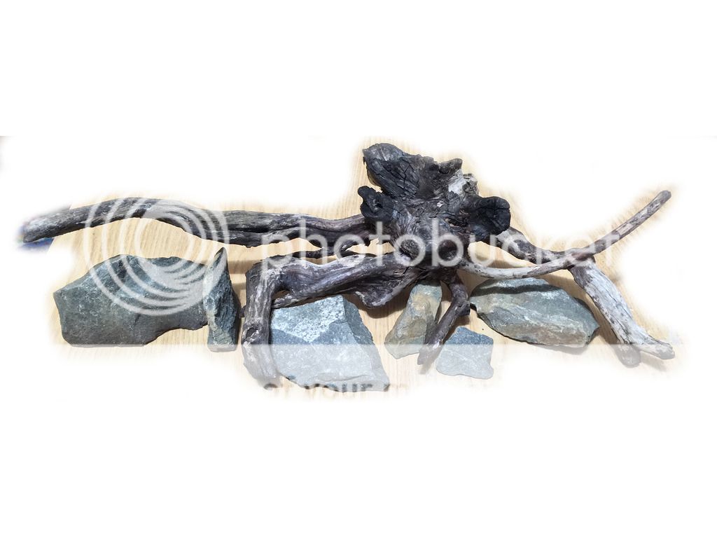 Judging Rocks For Aquarium Use | The Planted Tank Forum