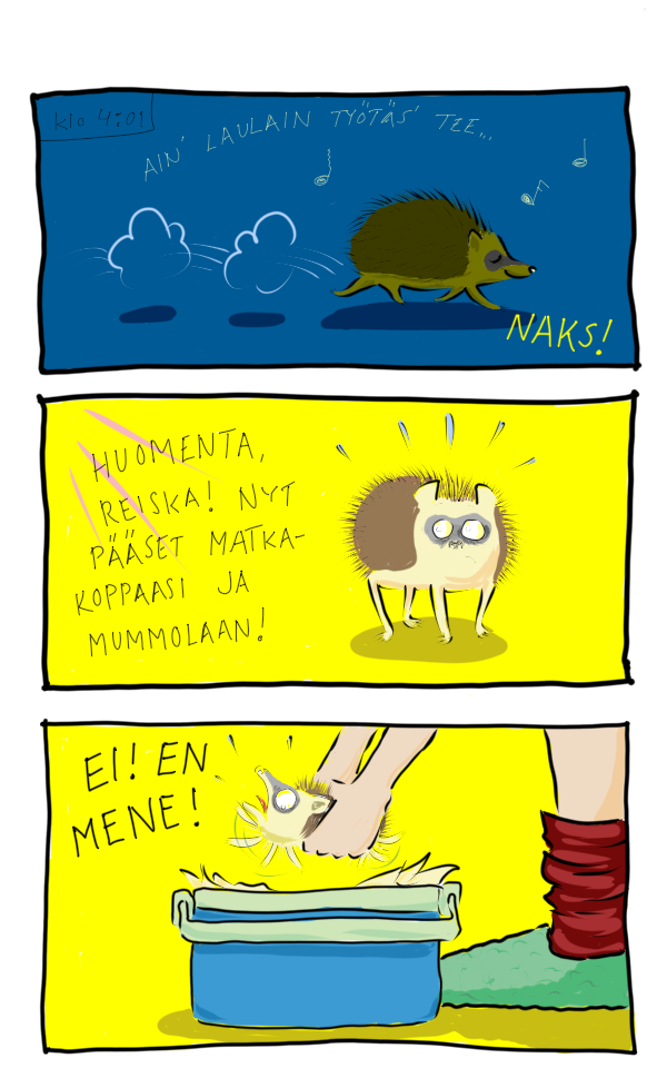Reiskan lomallelähtö 1