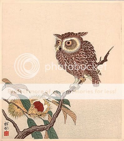 http://i222.photobucket.com/albums/dd197/Feralian/LJ/08-Koson_OwlAndChestnut.jpg