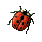Wb01292_.gif