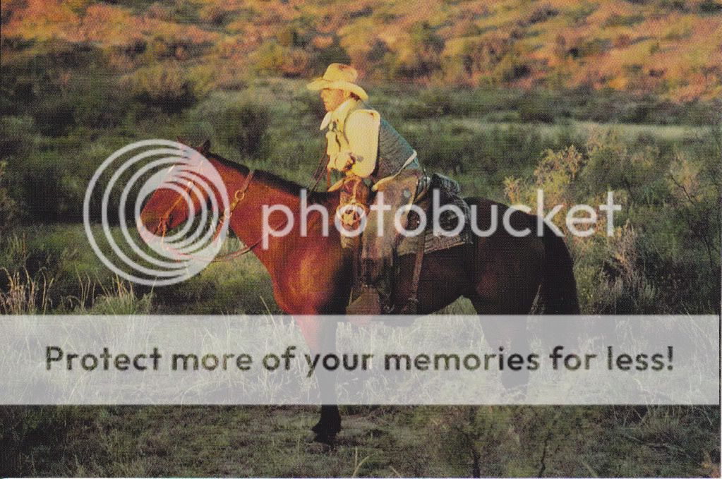 Quarter Horse Postcard Cowboy on Horse Bob Moorhouse Photograph AQHA