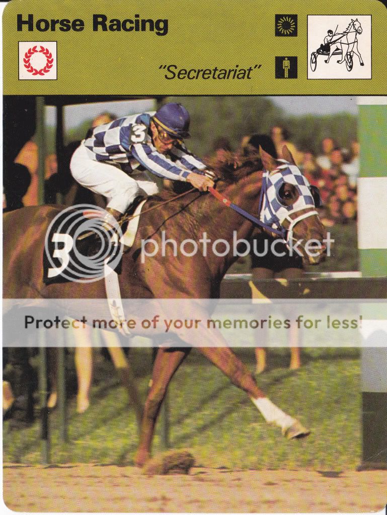 SECRETARIAT THOROUGHBRED HORSE CARD TRIPLE CROWN WINNER 1973  