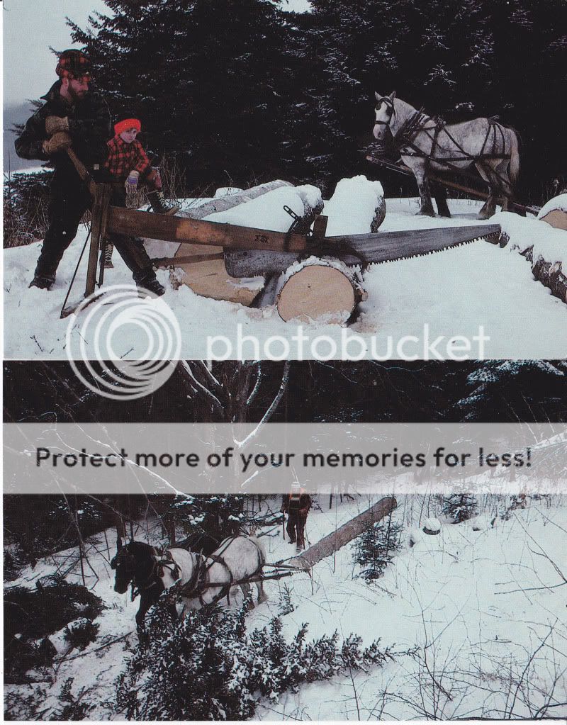 CIRCA 1960 1970 HORSE LOGGING SAW POSTCARD QUECHEE VERMONT  