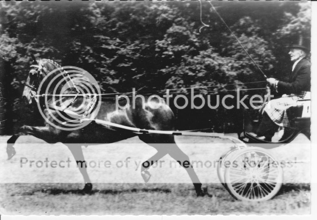 CIRCA 1960 HACKNEY SHOW HORSE POSTCARD RPPC   SULKY CART DRIVER  