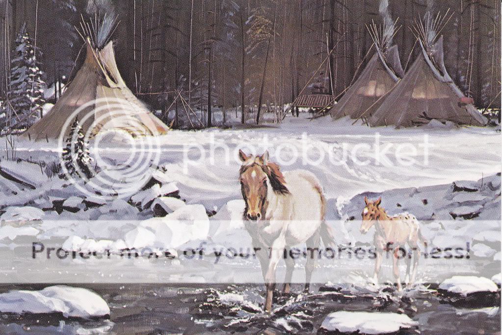 APPALOOSA HORSE POSTCARD MARE AND FOAL   ARTIST CARD CIRCA 1970 WINTER