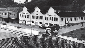 clique para ampliar e torne a clicar para retornar ao tamanho original